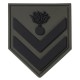 ARMY INSIGNIA 3D EPY- EMTH - EPOP