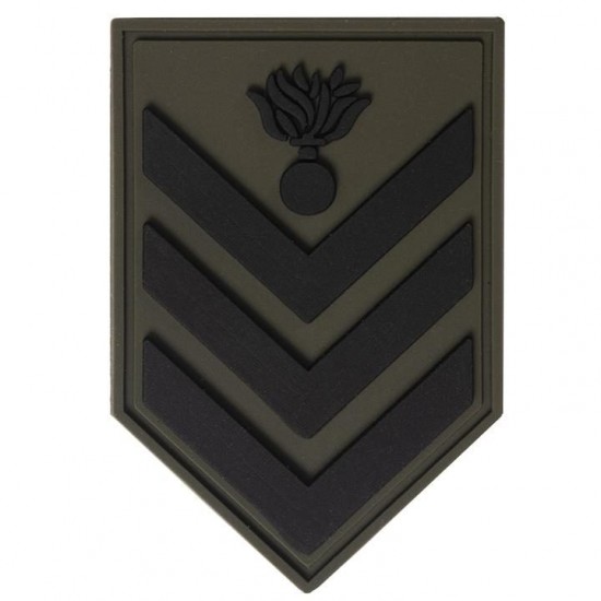 ARMY INSIGNIA 3D EPY- EMTH - EPOP