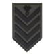 ARMY INSIGNIA 3D EPY- EMTH - EPOP