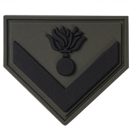 ARMY INSIGNIA 3D EPY- EMTH - EPOP