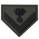 ARMY INSIGNIA 3D EPY- EMTH - EPOP