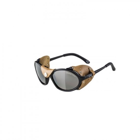 MOUNTAINEERING GLASSES SIBIRIA ALPINA POL70126