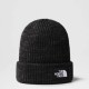 ΣΚΟΥΦΟΣ THE NORTH FACE SALTY LINED BEANIE