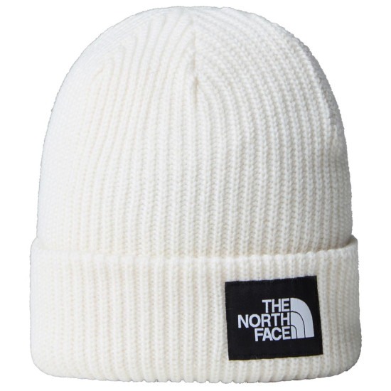 ΣΚΟΥΦΟΣ THE NORTH FACE SALTY LINED BEANIE