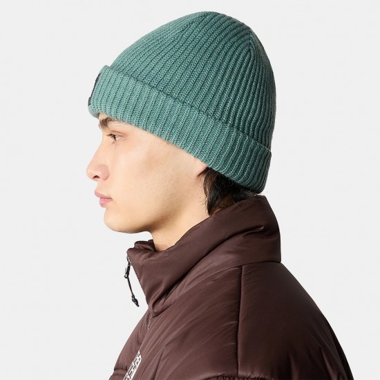 ΣΚΟΥΦΟΣ THE NORTH FACE SALTY LINED BEANIE